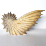 Wooden Fossil Sculptural Shell Vase