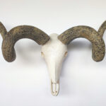 Wooden Ram's Head Sculpture